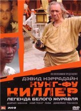 Кунг-фу Киллер / Kung Fu Killer (2008)