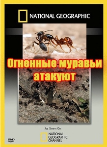 Огненные муравьи атакуют (2010) онлайн
