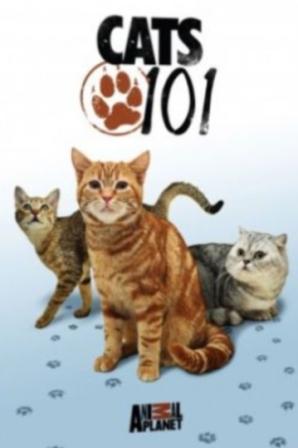 Введение в кошковедение / Cats 101 Animal Planet (2010) онлайн