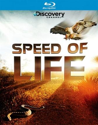 Скорость жизни / Speed of Life (2010) онлайн