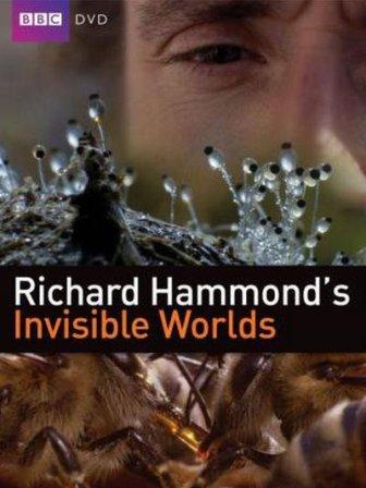 BBC: Невидимые миры / BBC: Invisible Worlds (2010)