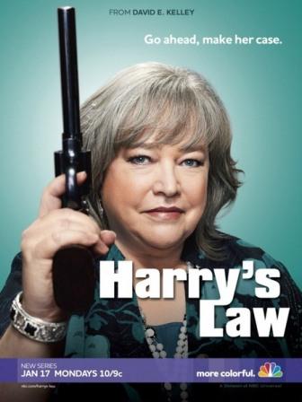 Закон Хэрри / Harry's Law (2011) 1 сезон онлайн