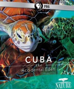 Куба. Случайный рай / Cuba. The Accidental Eden (2010)