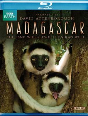Мадагаскар / Madagascar (2011) онлайн