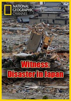 Катастрофа в Японии: Свидетельства очевидцев / Witness: Disaster In Japan (2011) онлайн
