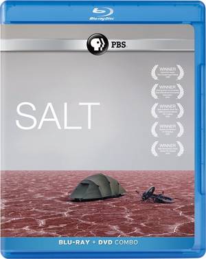 Соль / Salt (2009) онлайн