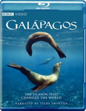 BBC: Галапагосы / Galapagos (2007) онлайн