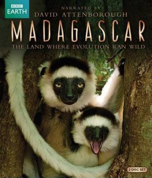 Мадагаскар. Земля, где эволюция шла своим путём (2011) онлайн