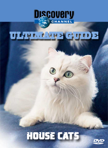 Discovery. Идеальный путеводитель: Домашние кошки / Ultimate Guide: House Cats (1999) онлайн