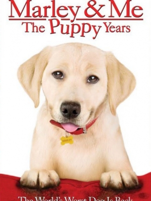 Марли и я 2 / Marley & Me: The Puppy Years (2011) онлайн