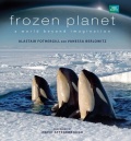 Застывшая планета / Frozen Planet (2011) онлайн