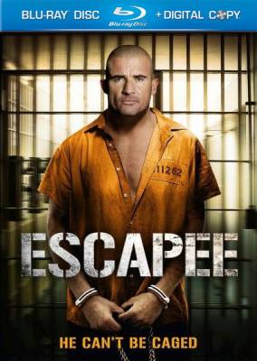 Беглец / Escapee (2011) онлайн