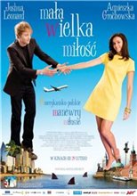 Маленькая большая любовь / Mala wielka milosc (2008)