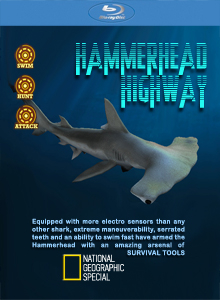 Специальный выпуск: Пути акулы-молота (2008) онлайн