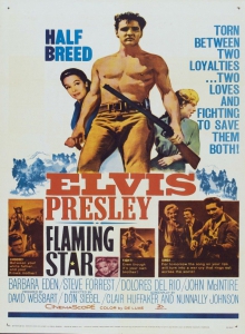 Пламенеющая звезда / Flaming Star (1960)