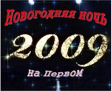 Новогодняя ночь 2009 на Первом (2008)