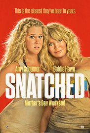 Дочь и мать её / Snatched (2017) онлайн