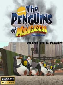 Пингвины Мадагаскара: Пропавший в вспышке / The Penguins Of Madagascar: Gone in a Flash (2008)