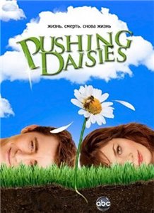 Мертвые до востребования / Pushing Daisies - 1 сезон (2007) онлайн