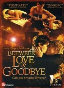 Между любовью и прощанием / Between Love Goodbye / Between Love & Goodbye (2008)