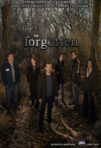Забытые / The Forgotten (2009) 1 сезон онлайн