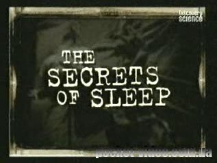 Тайны сна / The secrets of sleep (2006) онлайн