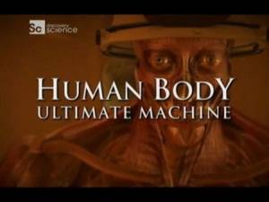 Наше тело - уникальная машина. Чувства (2007) онлайн