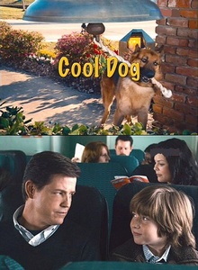 Крутой пес / Cool Dog (2010)