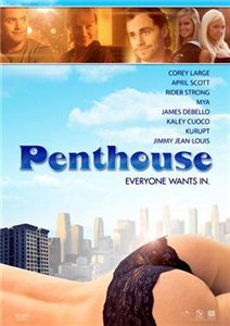 Пентхаус / The Penthouse (2010)