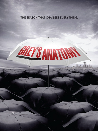 Анатомия страсти / Grey's Anatomy (2009) 6 сезон