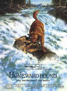 Дорога домой: Невероятное путешествие / Homeward Bound - The Incredible Journey (1993) онлайн