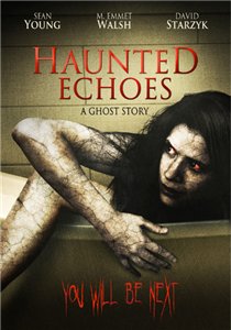 Отзвуки эха / Haunted Echoes (2008) онлайн