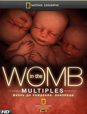 Жизнь до рождения: Близнецы / In the Womb: Twins, Triplets and Quards (2007) онлайн