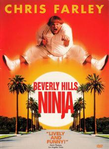 Ниндзя из Беверли Хиллз / Beverly Hills Ninja (1997)