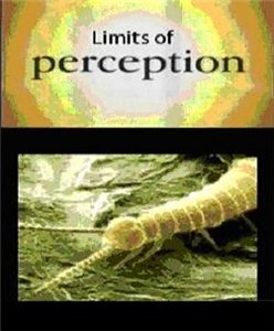 За гранью восприятия / Limits Of Perception (2001)