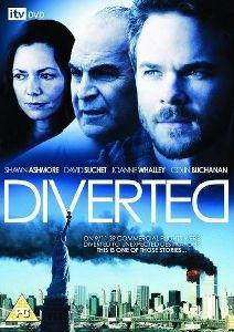 Diverted / Отклоненный (2009) онлайн