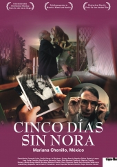 Пять дней без Норы / Nora's Will / Cinco días sin Nora (2008) онлайн
