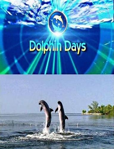 Дельфиньи будни / Dolphin Days (2009) онлайн