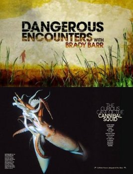 Опасные встречи: Кальмар каннибал / Dangerous Encounters: Cannibal Squid (2009) онлайн