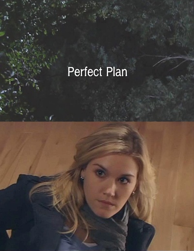 Отличный план / Perfect Plan (2010)