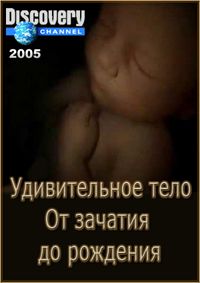 Удивительное тело: от зачатия до рождения (2005) онлайн