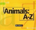 BBC: Животные от А до Я Африканский убийца (2007)