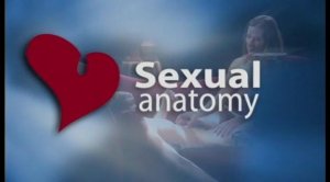 Секреты совершенного секса: Продвинутая сексуальная техника и позици (2005) онлайн