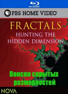 Поиски скрытых размерностей / Hunting the Hidden Dimension (2008)